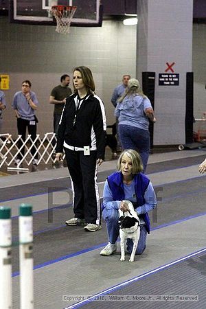 MCRD Unplugged Flyball Tournement<br />March 20th, 2010