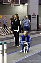 img_2020_thm.jpg