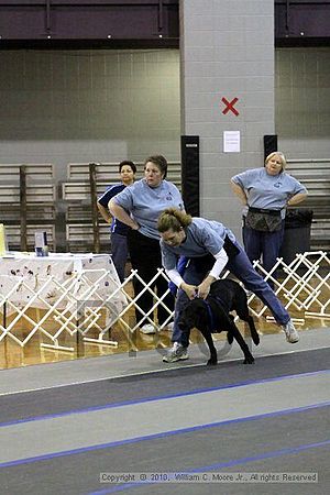 MCRD Unplugged Flyball Tournement<br />March 20th, 2010