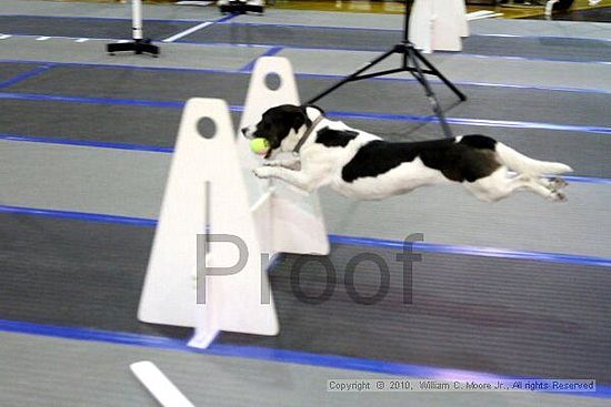 MCRD Unplugged Flyball Tournement<br />March 20th, 2010