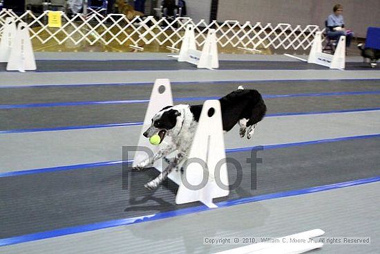 MCRD Unplugged Flyball Tournement<br />March 20th, 2010