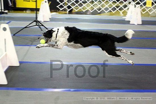 MCRD Unplugged Flyball Tournement<br />March 20th, 2010