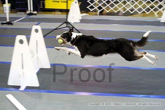 MCRD Unplugged Flyball Tournement<br />March 20th, 2010