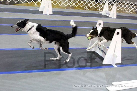 MCRD Unplugged Flyball Tournement<br />March 20th, 2010