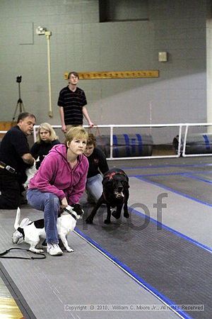 MCRD Unplugged Flyball Tournement<br />March 20th, 2010