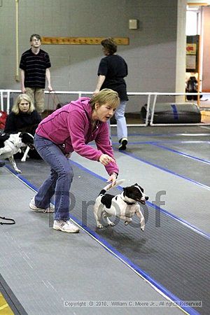 MCRD Unplugged Flyball Tournement<br />March 20th, 2010