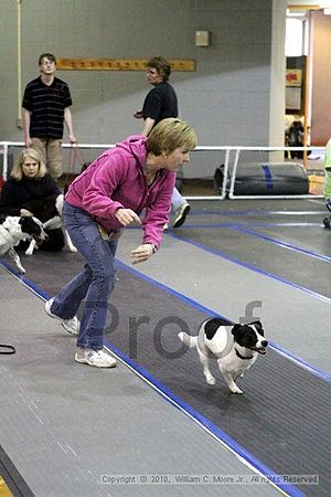 MCRD Unplugged Flyball Tournement<br />March 20th, 2010