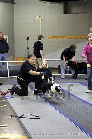 MCRD Unplugged Flyball Tournement<br />March 20th, 2010