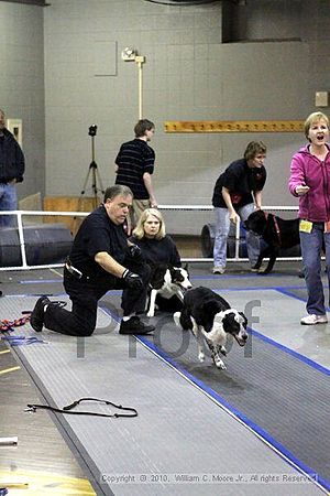 MCRD Unplugged Flyball Tournement<br />March 20th, 2010