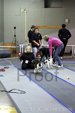 MCRD Unplugged Flyball Tournement<br />March 20th, 2010