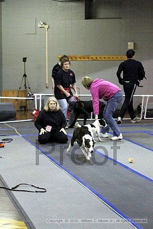 MCRD Unplugged Flyball Tournement<br />March 20th, 2010