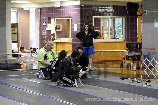 MCRD Unplugged Flyball Tournement<br />March 20th, 2010