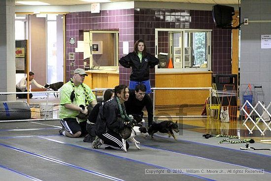 MCRD Unplugged Flyball Tournement<br />March 20th, 2010