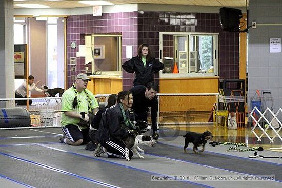 MCRD Unplugged Flyball Tournement<br />March 20th, 2010