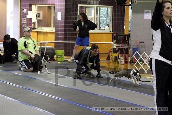 MCRD Unplugged Flyball Tournement<br />March 20th, 2010