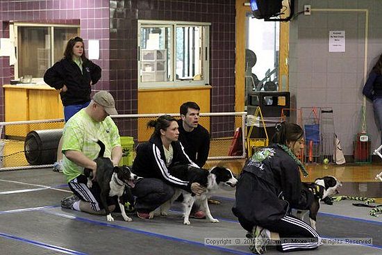 MCRD Unplugged Flyball Tournement<br />March 20th, 2010