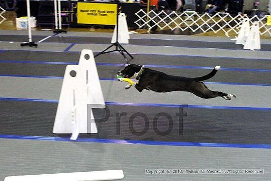 MCRD Unplugged Flyball Tournement<br />March 20th, 2010