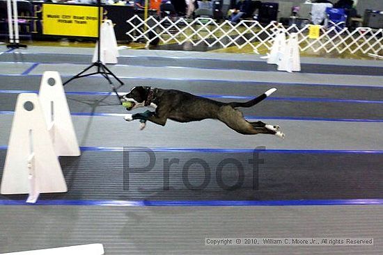 MCRD Unplugged Flyball Tournement<br />March 20th, 2010