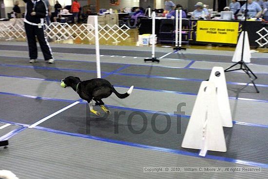 MCRD Unplugged Flyball Tournement<br />March 20th, 2010