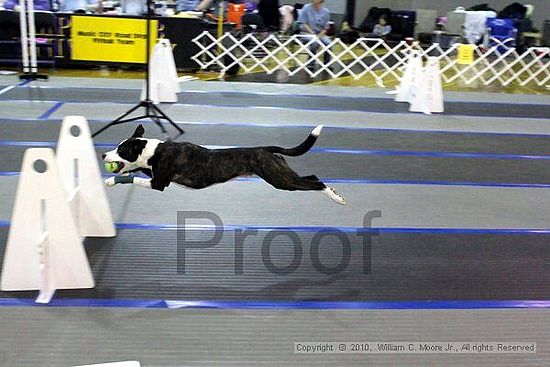 MCRD Unplugged Flyball Tournement<br />March 20th, 2010