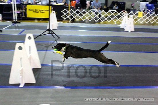 MCRD Unplugged Flyball Tournement<br />March 20th, 2010