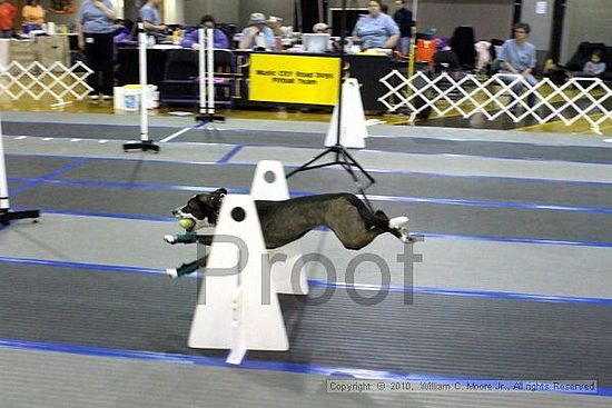 MCRD Unplugged Flyball Tournement<br />March 20th, 2010