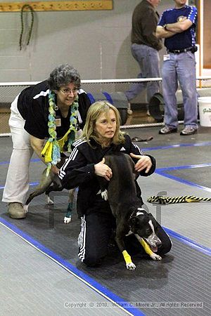 MCRD Unplugged Flyball Tournement<br />March 20th, 2010