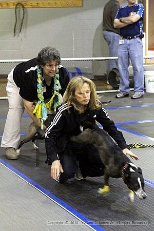 MCRD Unplugged Flyball Tournement<br />March 20th, 2010