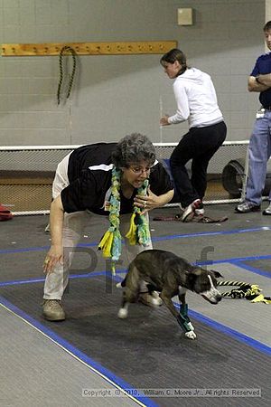 MCRD Unplugged Flyball Tournement<br />March 20th, 2010