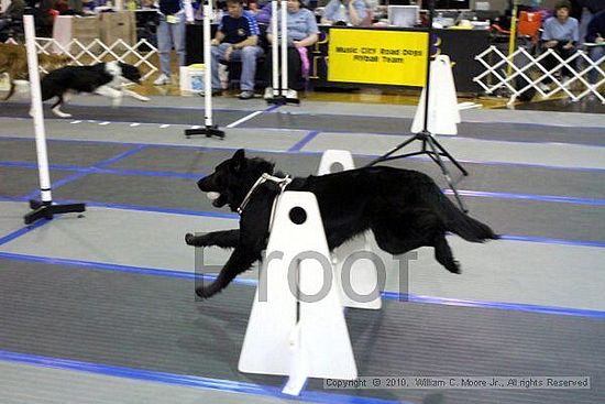 MCRD Unplugged Flyball Tournement<br />March 20th, 2010