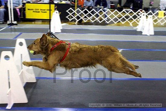 MCRD Unplugged Flyball Tournement<br />March 20th, 2010