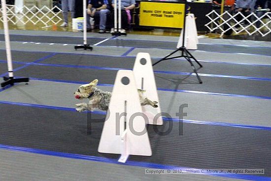 MCRD Unplugged Flyball Tournement<br />March 20th, 2010