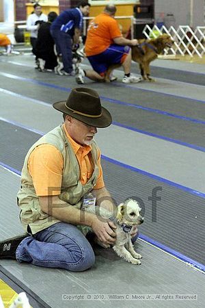 MCRD Unplugged Flyball Tournement<br />March 20th, 2010