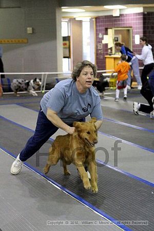 MCRD Unplugged Flyball Tournement<br />March 20th, 2010