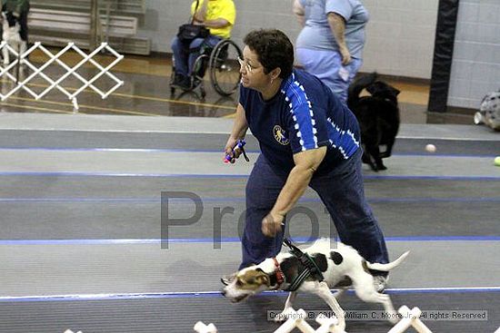 MCRD Unplugged Flyball Tournement<br />March 20th, 2010