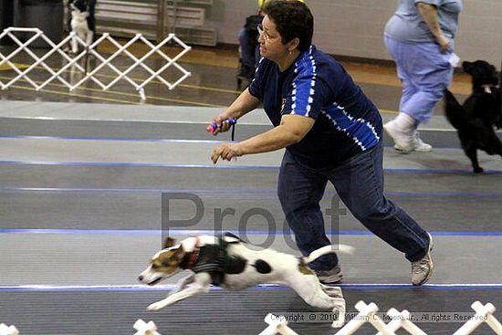 MCRD Unplugged Flyball Tournement<br />March 20th, 2010