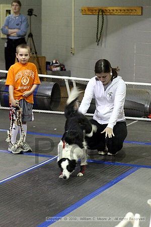 MCRD Unplugged Flyball Tournement<br />March 20th, 2010