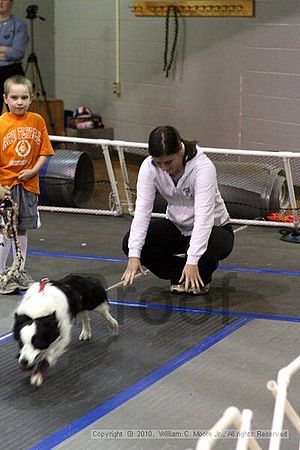 MCRD Unplugged Flyball Tournement<br />March 20th, 2010