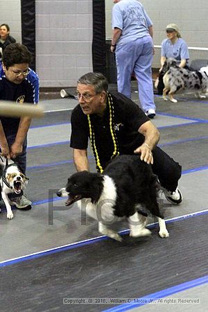 MCRD Unplugged Flyball Tournement<br />March 20th, 2010