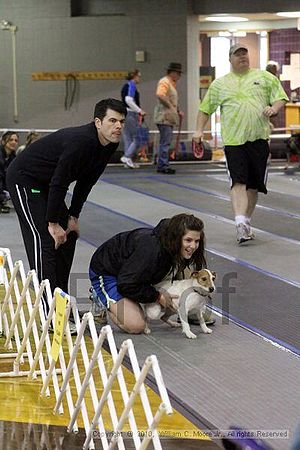 MCRD Unplugged Flyball Tournement<br />March 20th, 2010