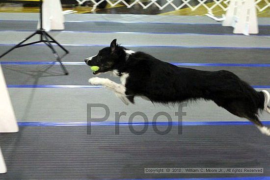 MCRD Unplugged Flyball Tournement<br />March 20th, 2010