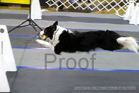 MCRD Unplugged Flyball Tournement<br />March 20th, 2010