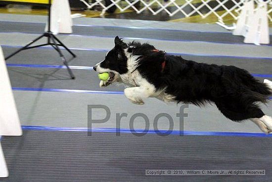 MCRD Unplugged Flyball Tournement<br />March 20th, 2010