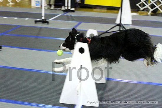 MCRD Unplugged Flyball Tournement<br />March 20th, 2010