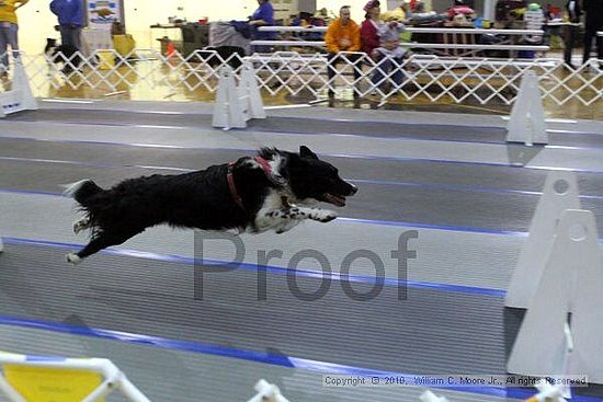 MCRD Unplugged Flyball Tournement<br />March 20th, 2010