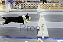 img_2140_thm.jpg