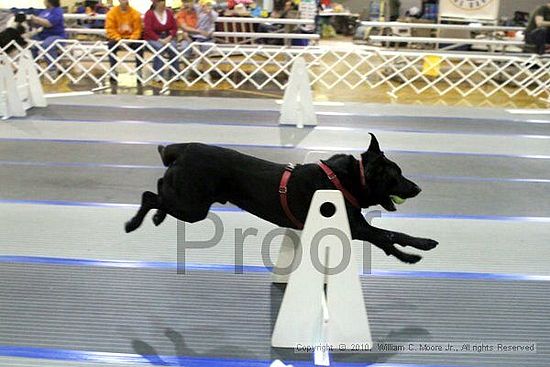 MCRD Unplugged Flyball Tournement<br />March 20th, 2010