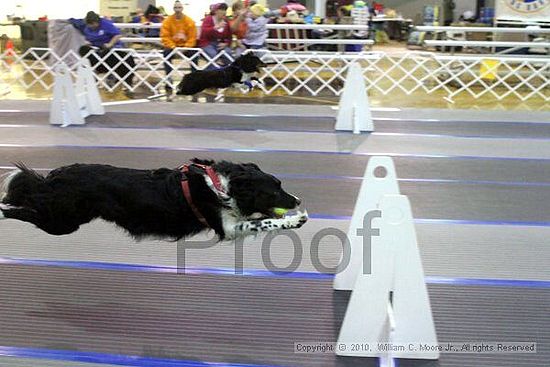 MCRD Unplugged Flyball Tournement<br />March 20th, 2010