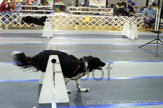 MCRD Unplugged Flyball Tournement<br />March 20th, 2010