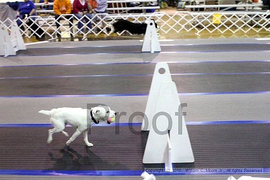 MCRD Unplugged Flyball Tournement<br />March 20th, 2010